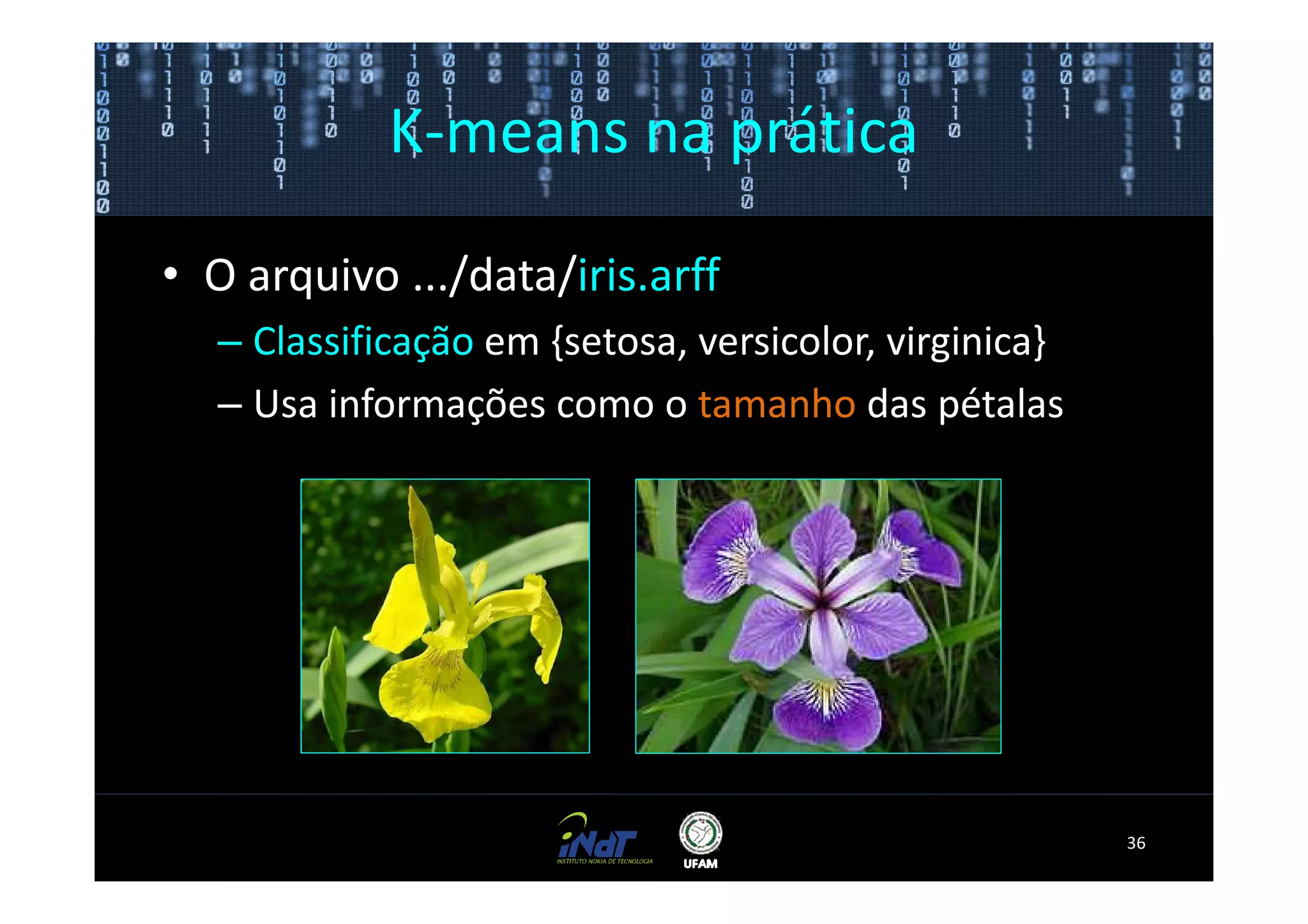 K-means na prática

• O arquivo .../data/iris.arff
   – Classificação em {setosa, versicolor, virginica}
   – Usa informações como o tamanho das pétalas




                                                        36
 