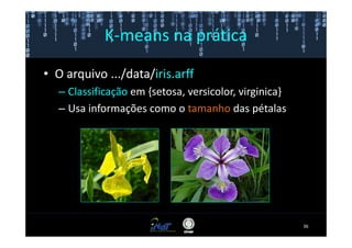 K-means na prática

• O arquivo .../data/iris.arff
   – Classificação em {setosa, versicolor, virginica}
   – Usa informações como o tamanho das pétalas




                                                        36
 