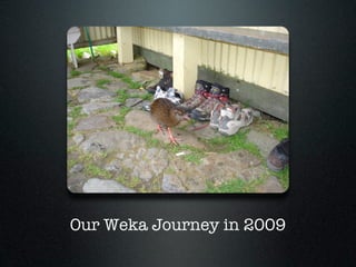 Our Weka Journey in 2009
 