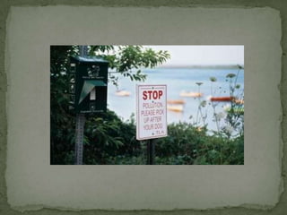 Effluents from factories, refineries, injection wells and sewage treatment plants are dumped into urban water supplies, leading to water pollution. 