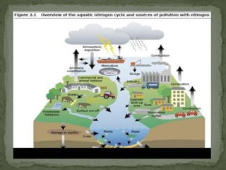 Untreated pollutants are drained into the nearest water body, such as stream, lake or harbor, causing water pollution. 
