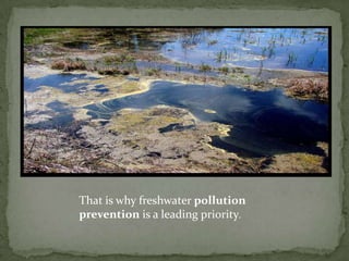 Another major source of water pollution comprises of organic farm wastes. When farm land, treated with pesticides and fertilizers, is irrigated, the excess nitrogen and poisons get mixed into the water supply, thereby contaminating it. 