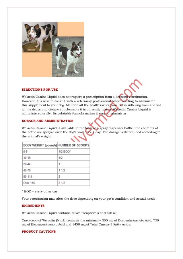 All Natural Liver Support For Dogs All Natural Liver Support For Dogs