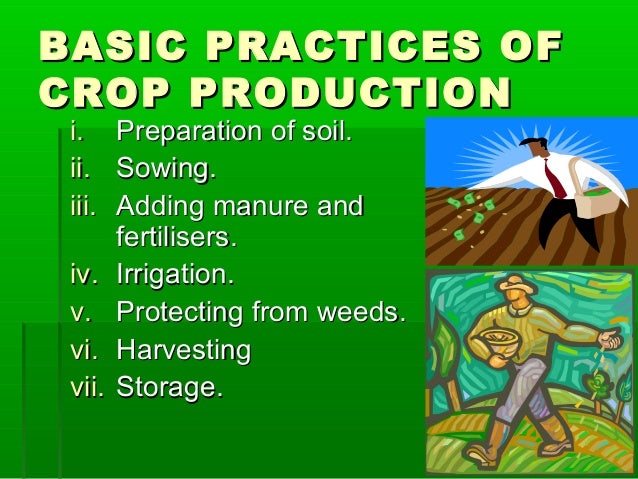 improved agricultural practices for crop production essay