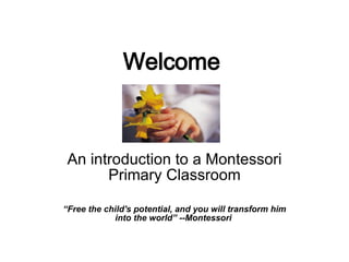 Welcome An introduction to a Montessori Primary Classroom “ Free the child's potential, and you will transform him into the world” --Montessori  