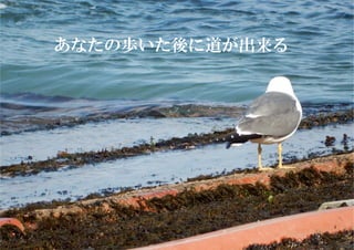 19
あなたの歩いた後に道が出来る
 