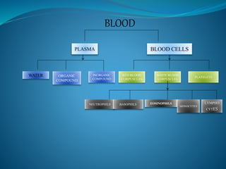 BLOOD | PPT