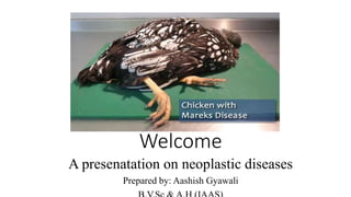 Welcome
A presenatation on neoplastic diseases
Prepared by: Aashish Gyawali
 