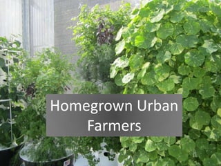 Homegrown Urban
Farmers
 