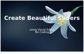Create Beautiful Sliders
using Visual Editor
No Coding
 