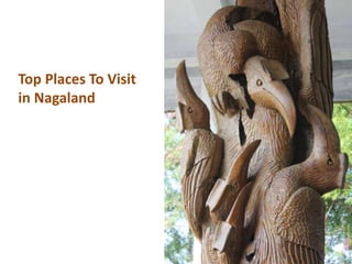 Top Places To Visit
in Nagaland
 