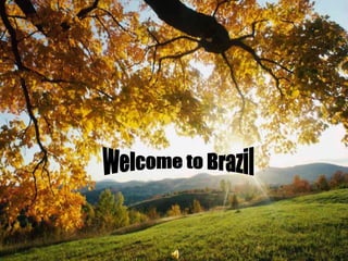 Welcome to Brazil 