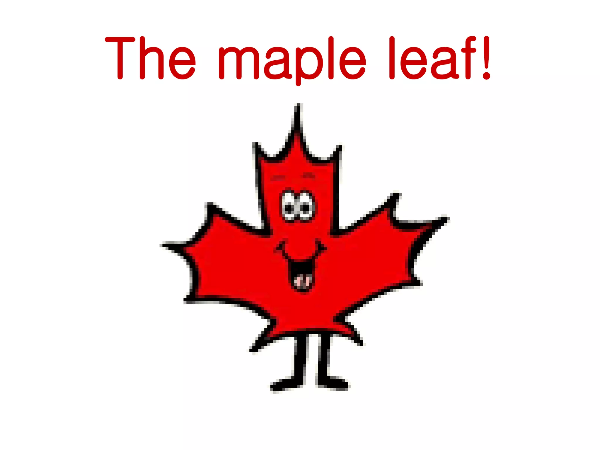 The maple leaf! 