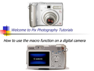 Welcome to Pix Photography Tutorials How to use the macro function on a digital camera 