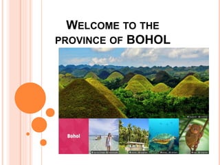 WELCOME TO THE
PROVINCE OF BOHOL
 