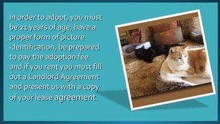 IInn oorrddeerr ttoo aaddoopptt,, yyoouu mmuusstt 
bbee 2211 yyeeaarrss ooff aaggee,, hhaavvee aa 
pprrooppeerr ffoorrmm ooff ppiiccttuurree 
iiddeennttiiffiiccaattiioonn,, bbee pprreeppaarreedd 
ttoo ppaayy tthhee aaddooppttiioonn ffeeee 
aanndd iiff yyoouu rreenntt yyoouu mmuusstt ffiillll 
oouutt aa LLaannddlloorrdd AAggrreeeemmeenntt 
aanndd pprreesseenntt uuss wwiitthh aa ccooppyy 
ooff yyoouurr lleeaassee aaggrreeeemmeenntt.. 
 