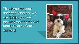 TThhaannkk yyoouu ffoorr yyoouurr 
uunnddeerrssttaannddiinngg aanndd wwee 
aarree tthhrriilllleedd yyoouu aarree 
ooppeenniinngg yyoouurr hhoommee aanndd 
ffaammiillyy ttoo oonnee ooff oouurr 
aanniimmaallss!! 
 