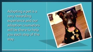 AAddooppttiinngg aa ppeett iiss aa 
vveerryy rreewwaarrddiinngg 
eexxppeerriieennccee aanndd oouurr 
aaddooppttiioonn ccoouunnsseelloorrss 
wwiillll bbee tthheerree ttoo hheellpp 
yyoouu eeaacchh sstteepp ooff tthhee 
wwaayy.. 
 