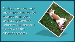AAtt tthhiiss ttiimmee,, iiff yyoouu rreenntt 
aanndd ddoo nnoott oowwnn,, yyoouu bbee 
rreeqquuiirreedd ttoo ffiillll oouutt aa 
llaannddlloorrdd aaggrreeeemmeenntt 
bbeeffoorree wwee ccaann pprroocceeeedd 
ffuurrtthheerr wwiitthh tthhee 
aaddooppttiioonn pprroocceessss.. 
 