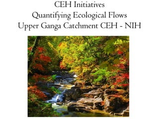 CEH Initiatives
Quantifying Ecological Flows
Upper Ganga Catchment CEH - NIH
 