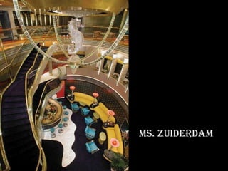 Ms. zuiderdam 