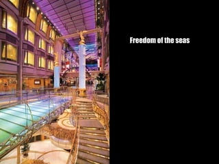 Freedom of the seas 