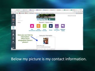 Below my picture is my contact information.
 