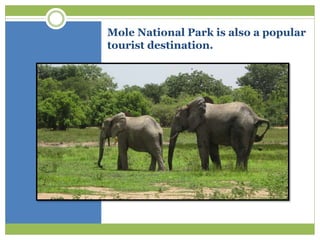 Mole National Park is also a popular
tourist destination.
 