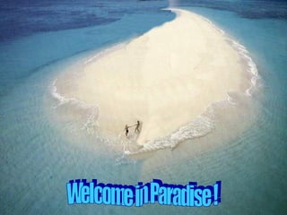 Welcome in Paradise ! 