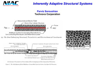 Inherently Adaptive Structural Systems 
ParvizSoroushian 
TechnovaCorporation  
