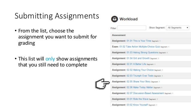 this summer vacations essay short
