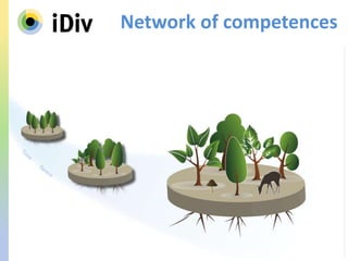 Network of competences
 