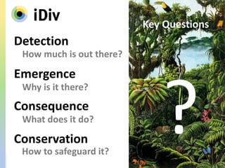 Detection
Emergence
Consequence
Conservation
How much is out there?
Why is it there?
What does it do?
How to safeguard it?
Key Questions
 