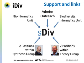 Admin/
Outreach Biodiversity
Informatics Unit
Bioinformatics
Unit
Support and links
2 Positions
within
Theory Group
2 Positions
within
Synthesis Group
 