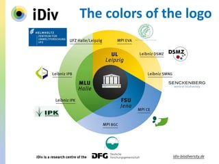 The colors of the logo
 