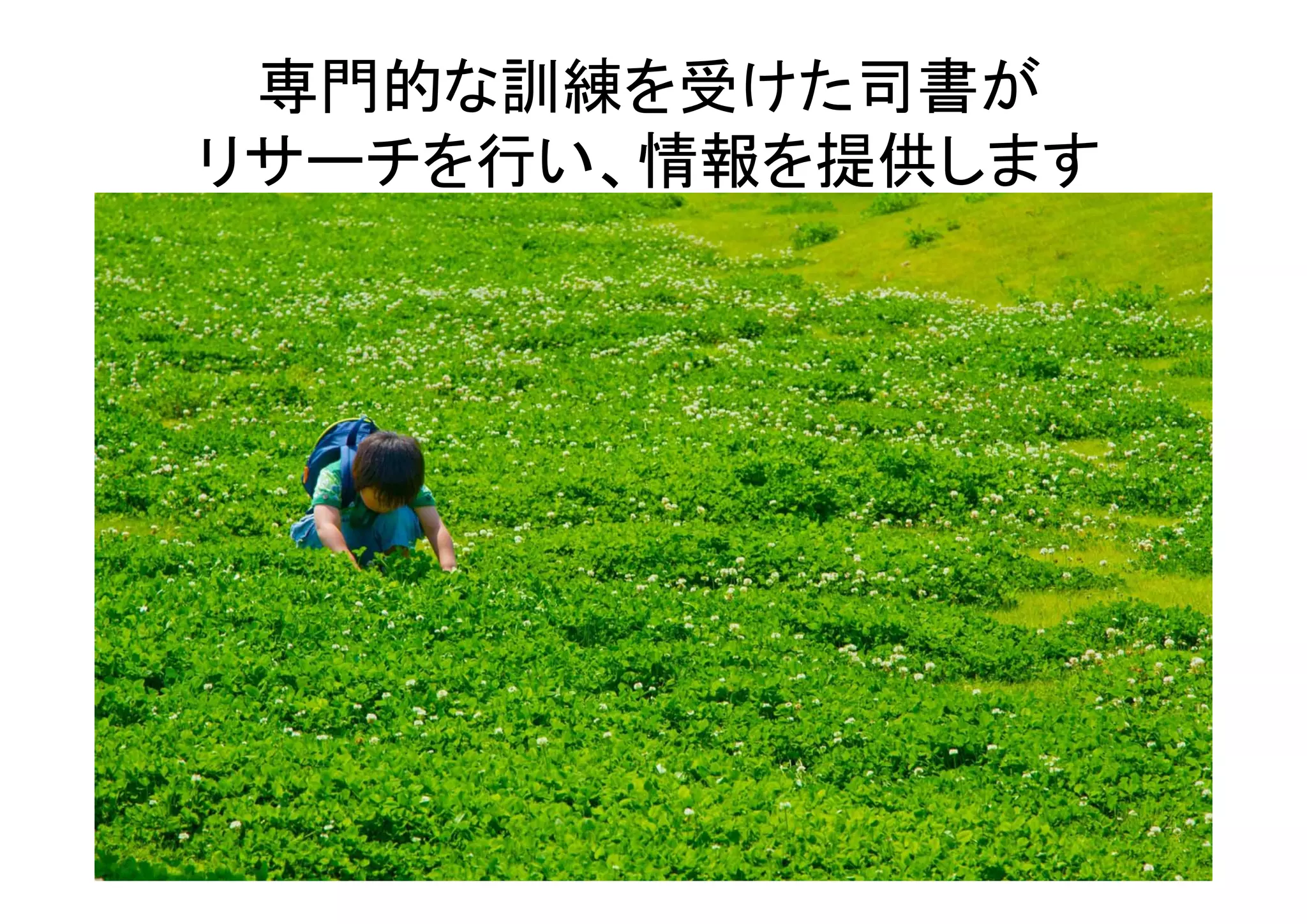 専門的な訓練を受けた司書が
リサーチを行い、情報を提供します
 