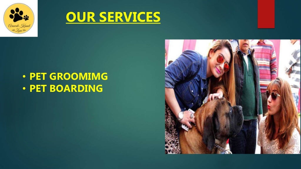 Dog boarding centre in Gurgaon Arawali Kennel Zone