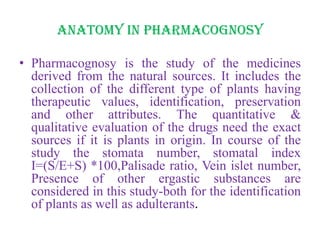 Anatomy in Pharmacognosy
• Pharmacognosy is the study of the medicines
derived from the natural sources. It includes the
collection of the different type of plants having
therapeutic values, identification, preservation
and other attributes. The quantitative &
qualitative evaluation of the drugs need the exact
sources if it is plants in origin. In course of the
study the stomata number, stomatal index
I=(S/E+S) *100,Palisade ratio, Vein islet number,
Presence of other ergastic substances are
considered in this study-both for the identification
of plants as well as adulterants.
 