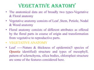 Vegetative anatomy
• The anatomical data are of broadly two types-Vegetative
& Floral anatomy
• Vegetative anatomy consists of Leaf ,Stem, Petiole, Nodal
& Wood anatomy
• Floral anatomy consists of different attributes as offered
by the floral parts in course of origin and transformation
from vegetative to reproductive parts.
• VEGETATIVE ANATOMY
• Leaf -----Nature & thickness of epidermis(5 species of
Opuntia identified) structure and types of mesophyll,
pattern of sclernchyma, silica bodies, chloroplast structure
are some of the features considered here.
 