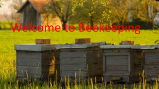 Welcome to Beekeeping
 