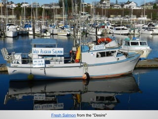 Fresh Salmon from the "Desire"
 