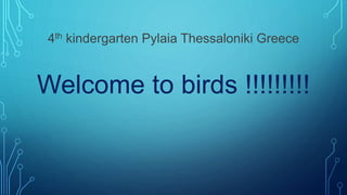 4th kindergarten Pylaia Thessaloniki Greece
Welcome to birds !!!!!!!!!