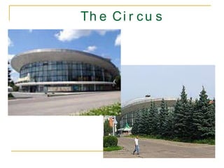 The Circus 