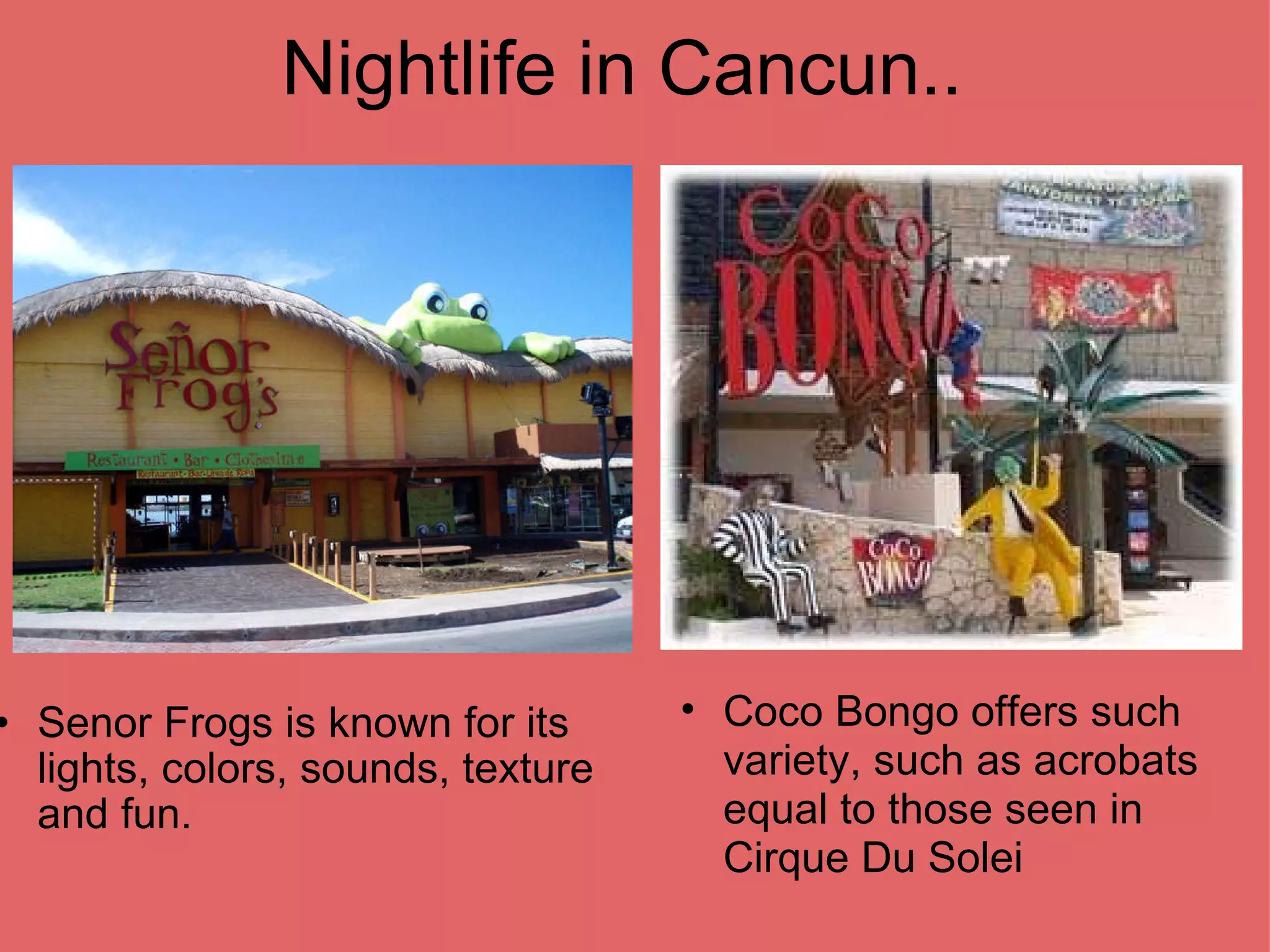 Nightlife in Cancun.. Senor Frogs is known for its lights, colors, sounds, texture and fun. Coco Bongo offers such variety, such as acrobats equal to those seen in Cirque Du Solei