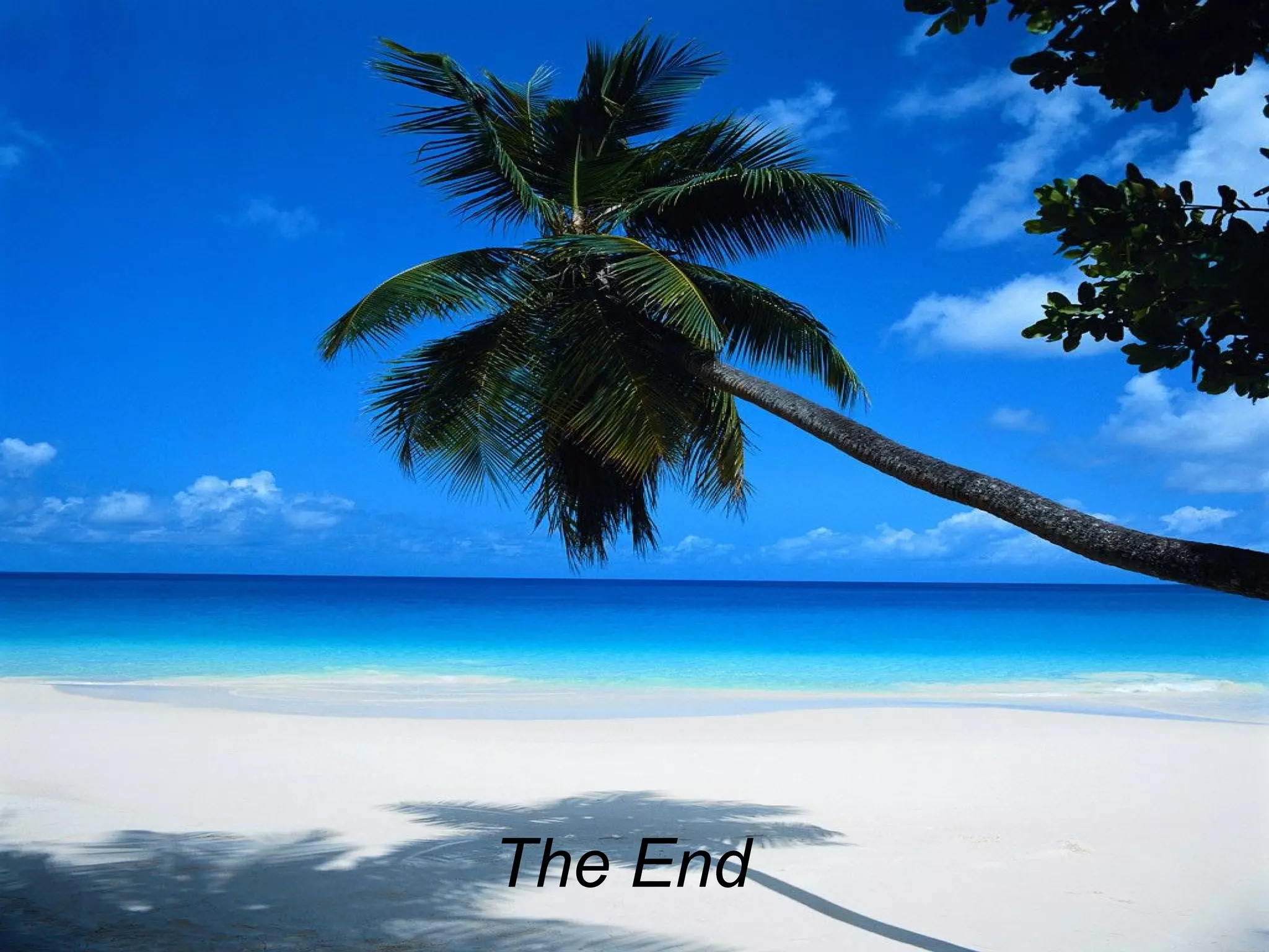 The End