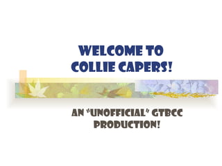 Welcome to  Collie Capers! An “UNOFFICIAL” GTBCC Production! 