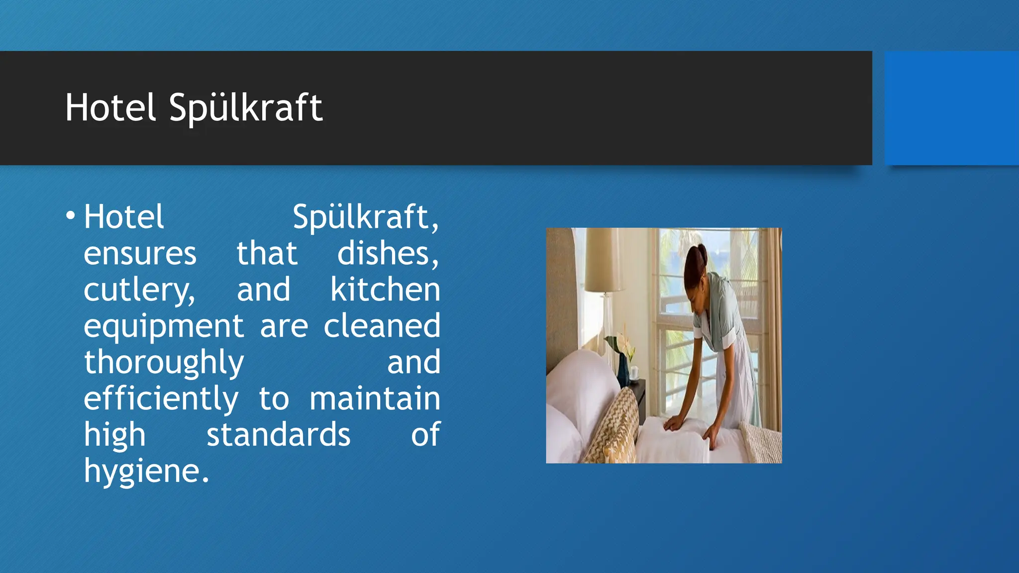 Hotel Spülkraft
• Hotel Spülkraft,
ensures that dishes,
cutlery, and kitchen
equipment are cleaned
thoroughly and
efficiently to maintain
high standards of
hygiene.
 