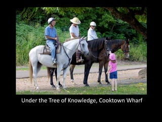 Under the Tree of Knowledge, Cooktown Wharf
 