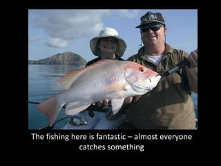 The fishing here is fantastic – almost everyone
              catches something
 
