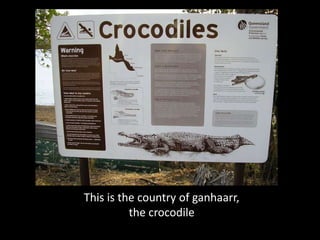 This is the country of ganhaarr,
          the crocodile
 